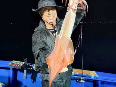 マイカ(ケンサキイカ)