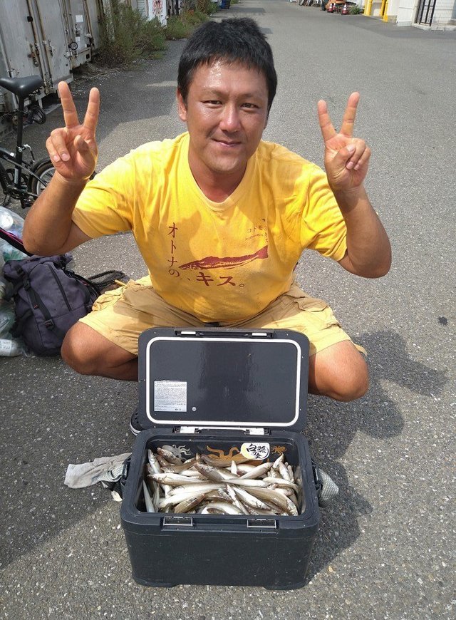 キス(シロギス)