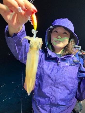 マイカ(ケンサキイカ)