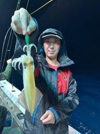 マイカ(ケンサキイカ)