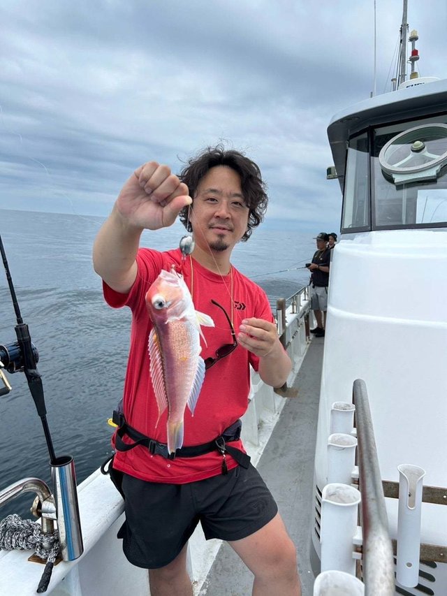 アマダイ(アカアマダイ)