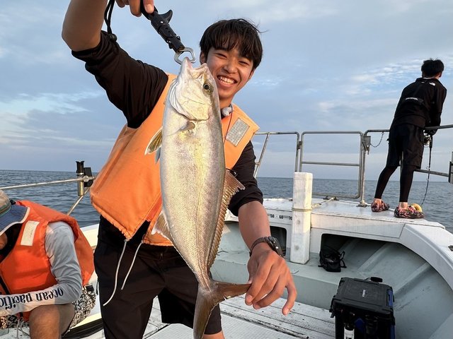 ショゴ(カンパチ)