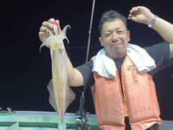 アカイカ(ケンサキイカ)