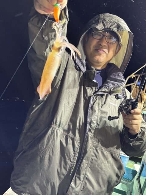 マイカ(ケンサキイカ)