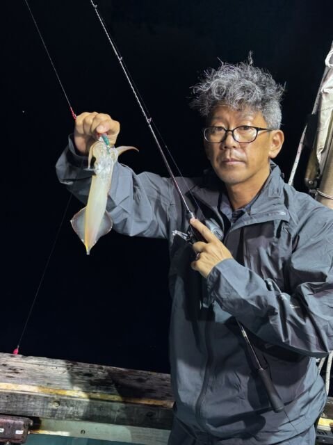 マイカ(ケンサキイカ)