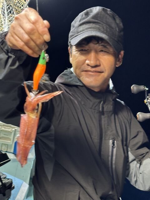 マイカ(ケンサキイカ)