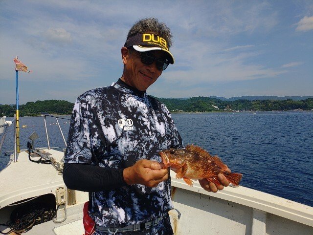 アコウ(キジハタ)