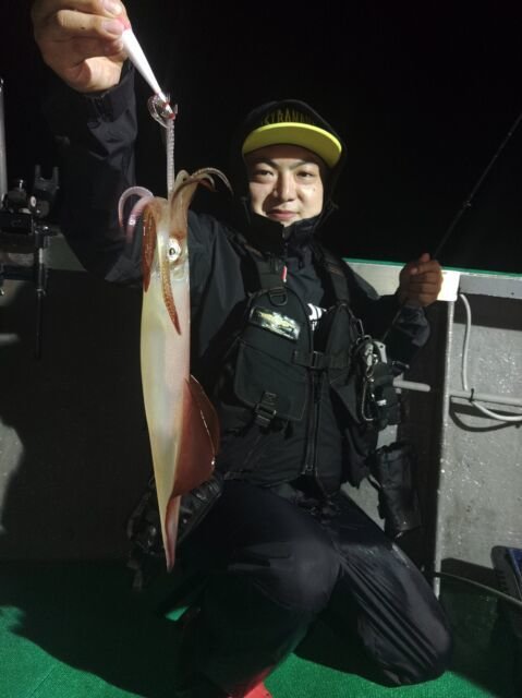 イカ(ヤリイカ)