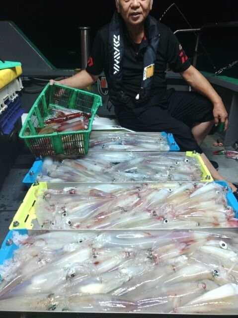 イカ(ヤリイカ)