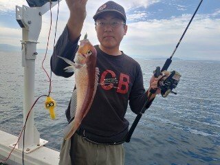 アマダイ(アカアマダイ)