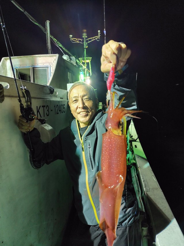 シロイカ(ケンサキイカ)