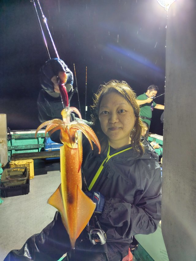 シロイカ(ケンサキイカ)