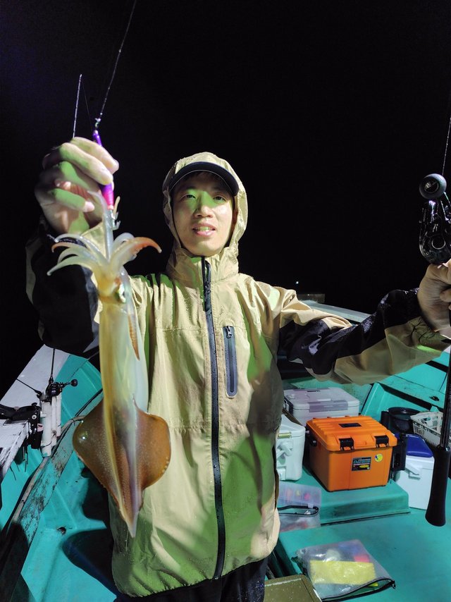 シロイカ(ケンサキイカ)