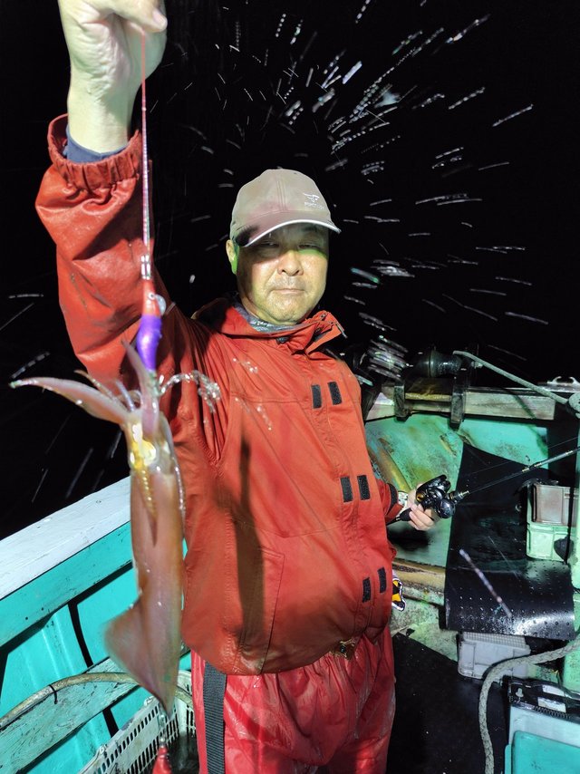 シロイカ(ケンサキイカ)