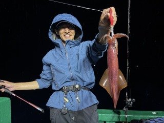 アカイカ(ケンサキイカ)