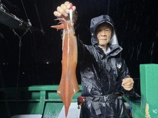 アカイカ(ケンサキイカ)