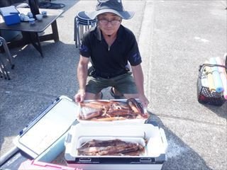 スルメ(スルメイカ)