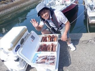 スルメ(スルメイカ)