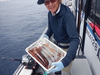 スルメ(スルメイカ)