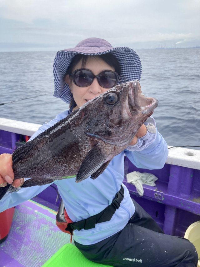 ソイ(クロソイ)