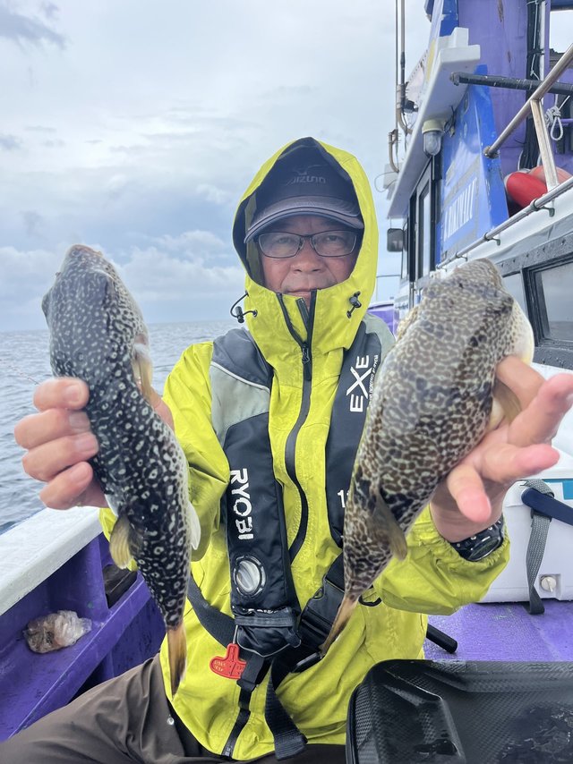 ショウサイフグ