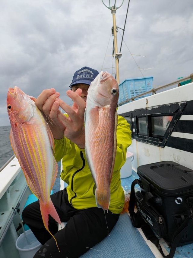 アマダイ(アカアマダイ)・イトヨリ(イトヨリダイ)
