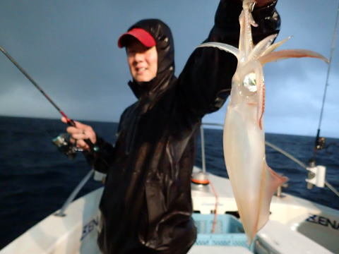 シロイカ(ケンサキイカ)