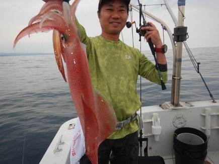 シロイカ(ケンサキイカ)