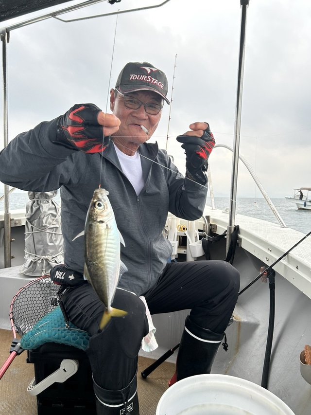 ヒラアジ(マアジ)