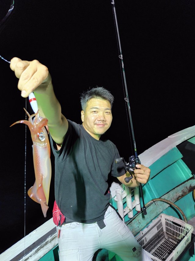 シロイカ(ケンサキイカ)