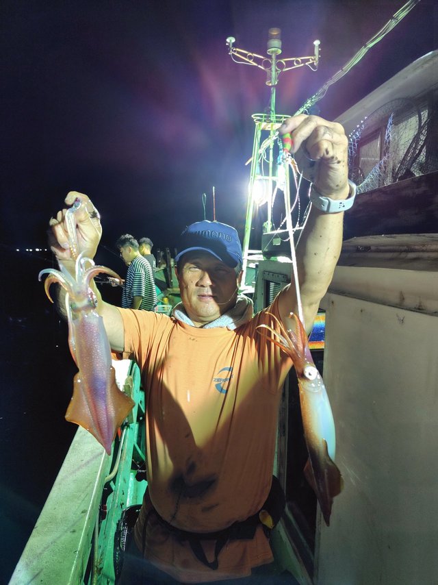 シロイカ(ケンサキイカ)