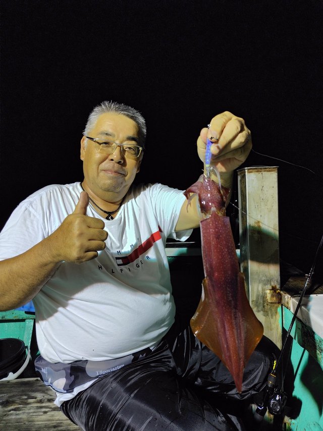 シロイカ(ケンサキイカ)