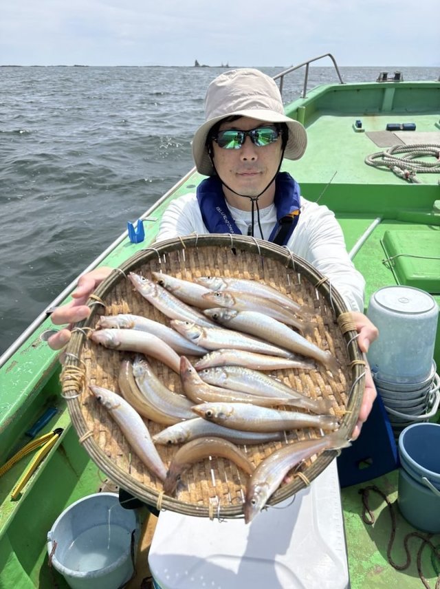 キス(シロギス)