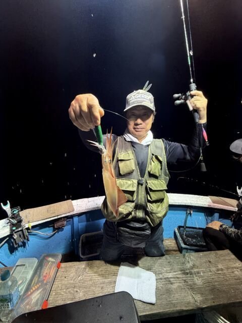 マイカ(ケンサキイカ)