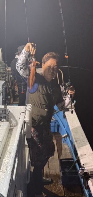 マイカ(ケンサキイカ)