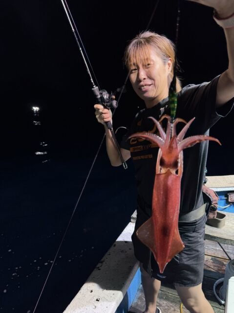 マイカ(ケンサキイカ)