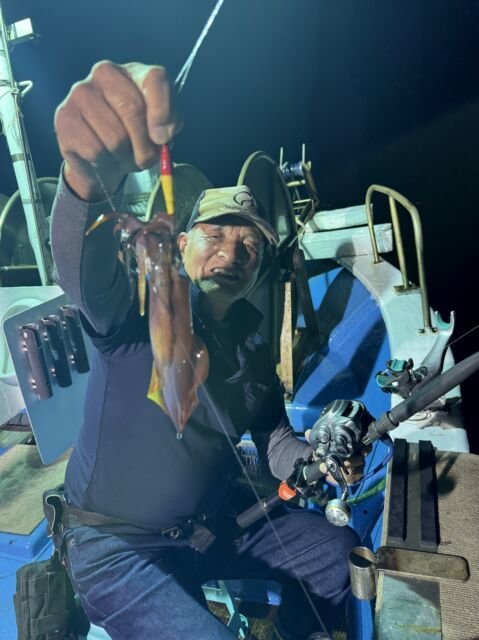 マイカ(ケンサキイカ)