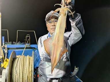 マイカ(ケンサキイカ)