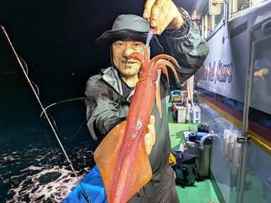 マイカ(ケンサキイカ)