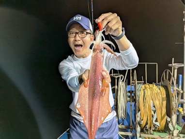 マイカ(ケンサキイカ)