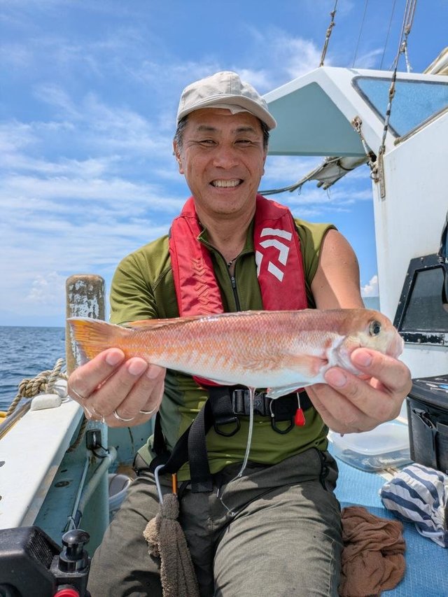 アマダイ(アカアマダイ)