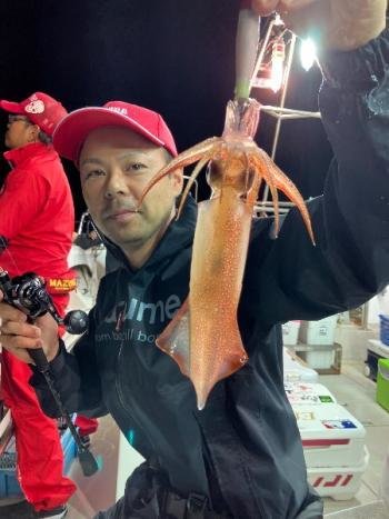 マイカ(ケンサキイカ)