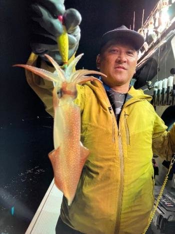 マイカ(ケンサキイカ)