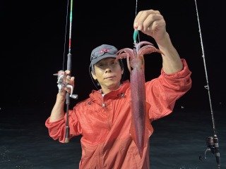 アカイカ(ケンサキイカ)