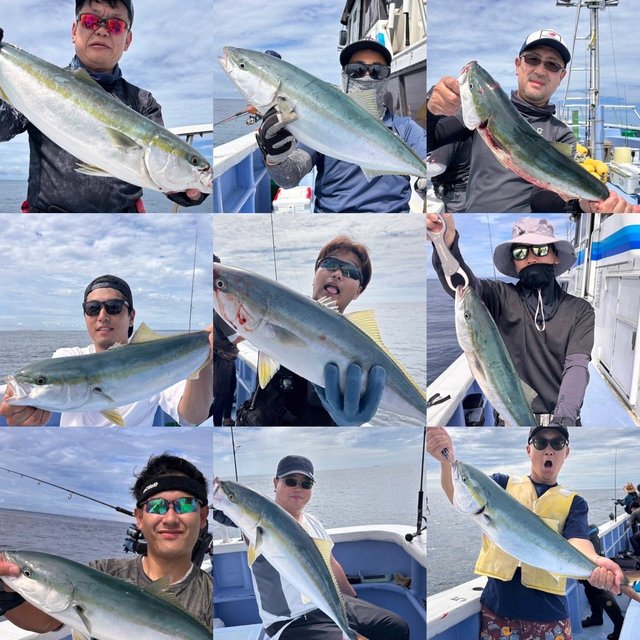 サンパク(ブリ)