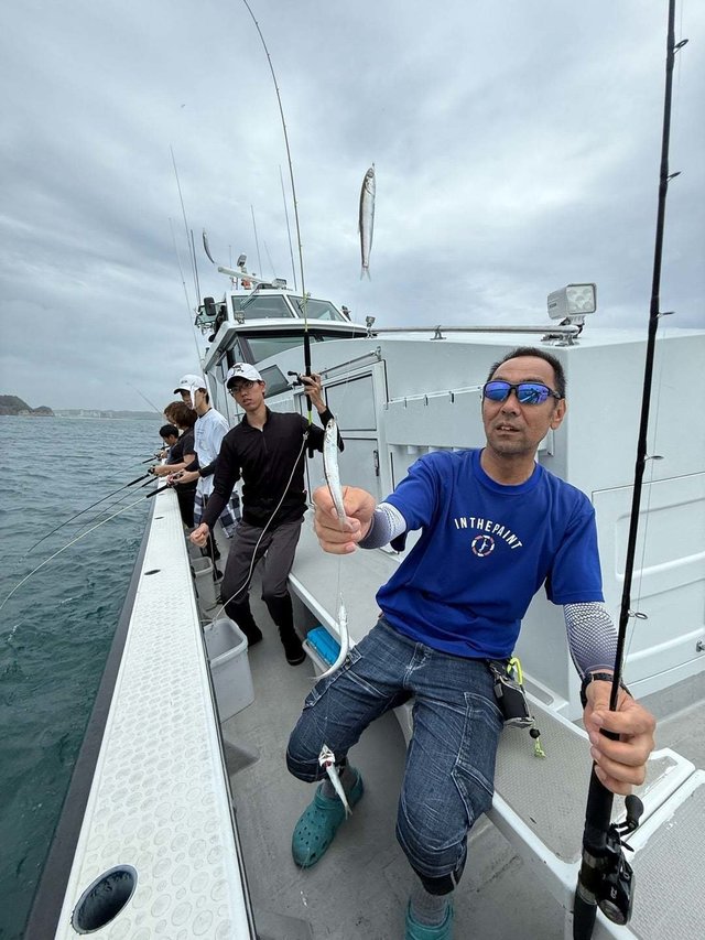 イワシ(カタクチイワシ)