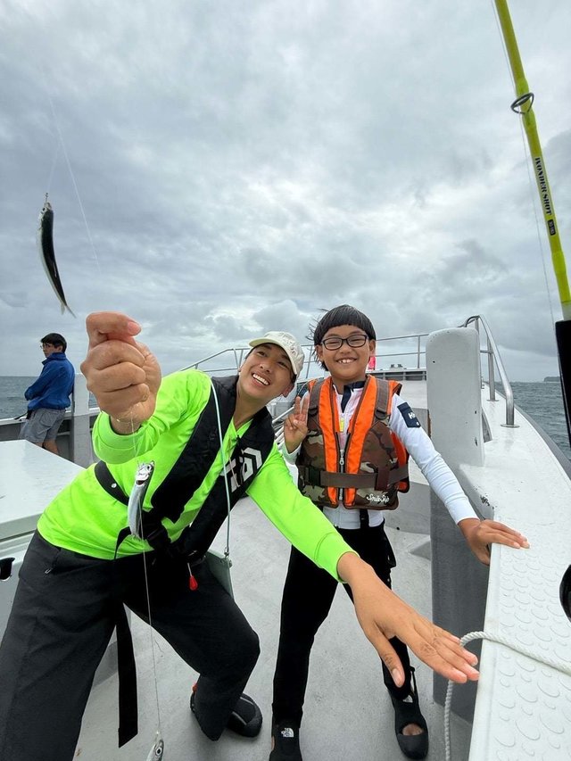 イワシ(カタクチイワシ)