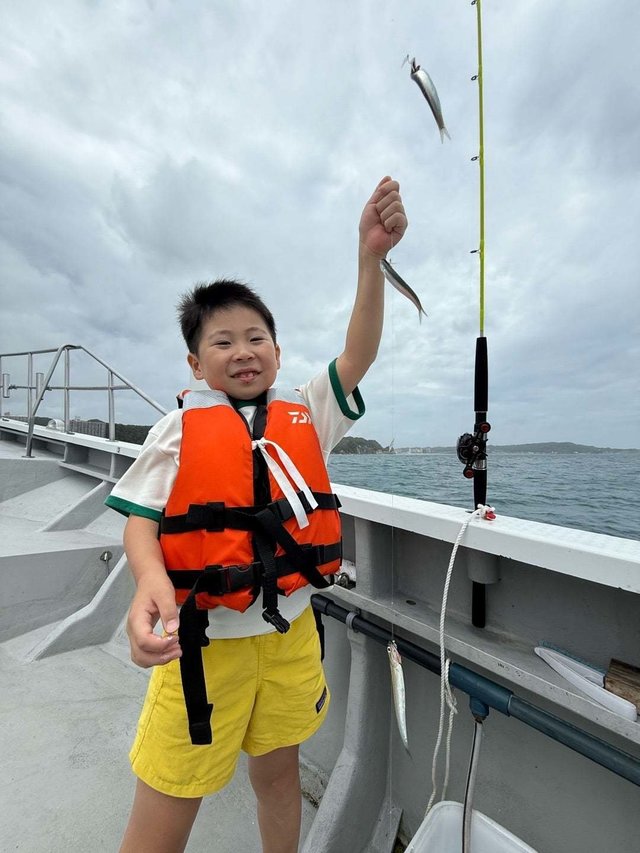 イワシ(カタクチイワシ)