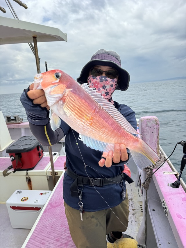 アマダイ(アカアマダイ)