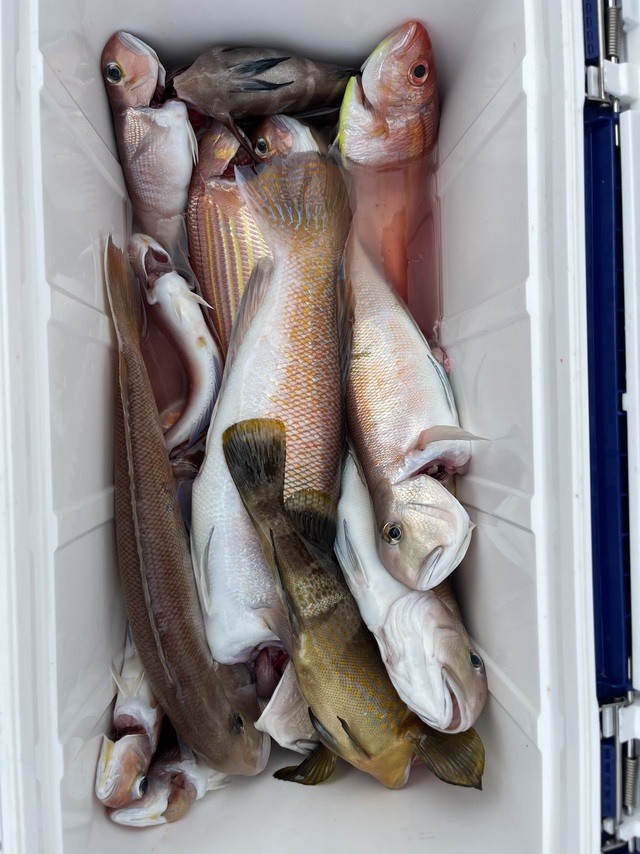 シロアマダイ・イトヨリダイ